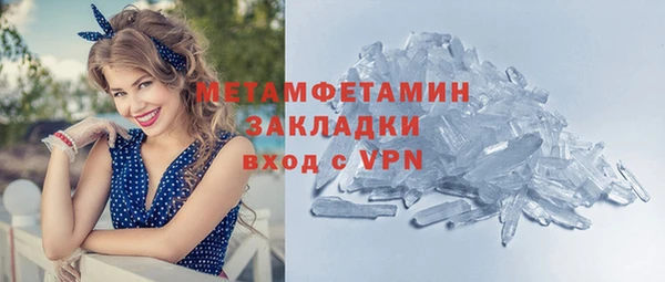 сатива Беломорск