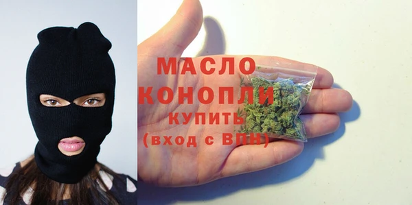 сатива Беломорск