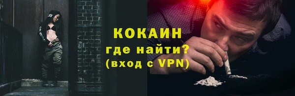 сатива Беломорск