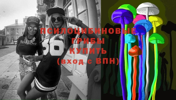 сатива Беломорск