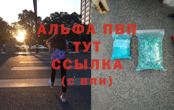 сатива Беломорск