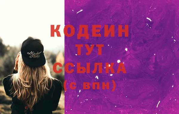 сатива Беломорск