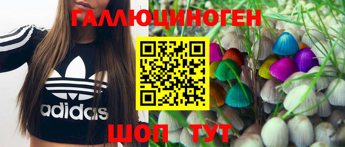 Псилоцибиновые грибы мухоморы Острогожск